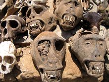 animals skulls at the Fetish Market/Lomé Fetish Market