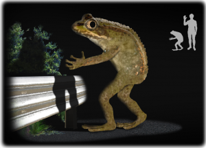 The Loveland Frogman – Ohio’s Most Famous Cryptid - Photo